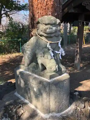 熊野神社の狛犬