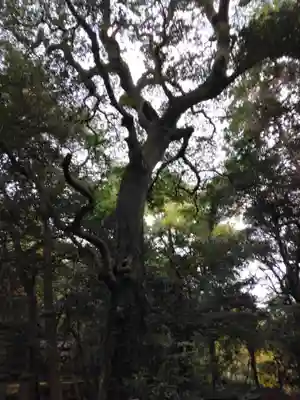 神武寺(神奈川県)