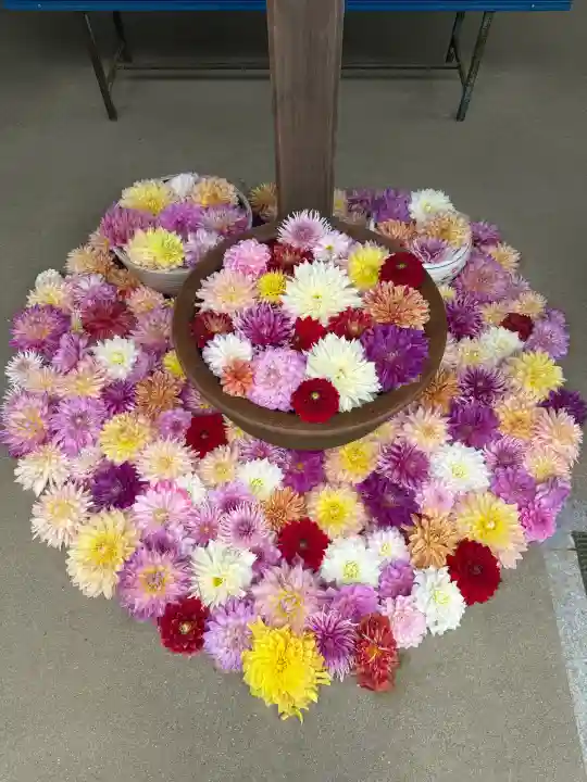 岡寺(龍蓋寺)の{uncategorized: "未分類", other: "その他", undefined: "問題あり", building: "その他建物", grave: "お墓", sacred_gate: "鳥居", guardian: "狛犬", statue: "像", buddha: "仏像", history: "歴史", nature: "自然", garden: "庭園", animal: "動物", pagoda: "塔", temizu: "手水舎", mountain_gate: "山門・神門", sanctuary: "本殿・本堂", subordinate: "末社・摂社", art: "芸術", scenery: "景色", jizo: "地蔵", ema: "絵馬", goshuin: "御朱印", omikuji: "おみくじ", items: "授与品その他", amulet: "お守り", goshuincho: "御朱印帳", eats: "食事", festival: "お祭り", votive_dance: "神楽", shichigosan: "七五三参", wedding: "結婚式", experience: "体験その他", initially: "初詣", around: "周辺", anti_infection: "感染症対策"}