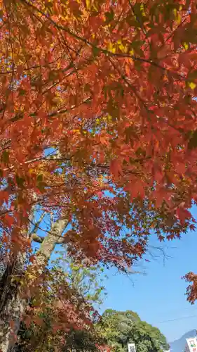 鍬山神社(京都府)