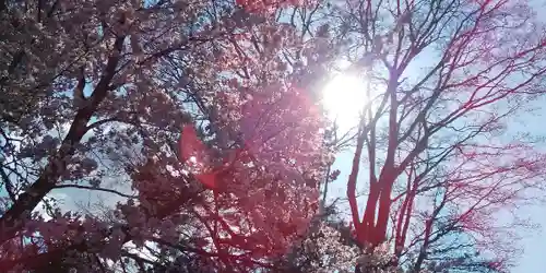 北鎮安全神社の自然