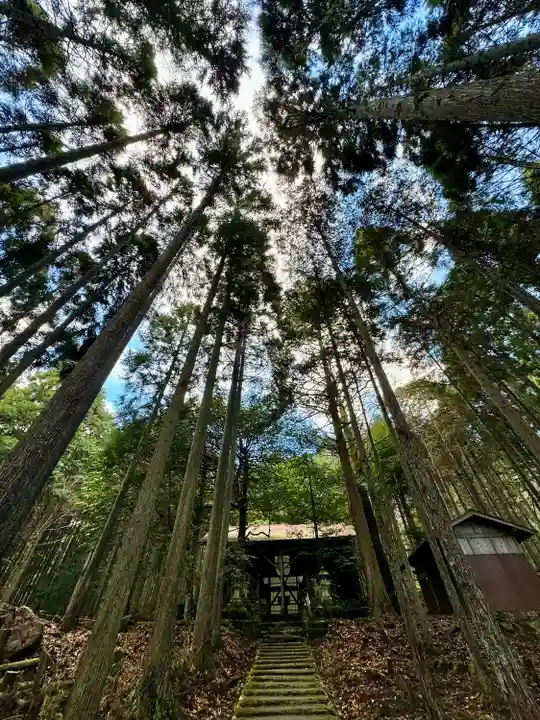 賀茂神社(京都府)