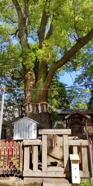 天神ノ森天満宮の末社・摂社