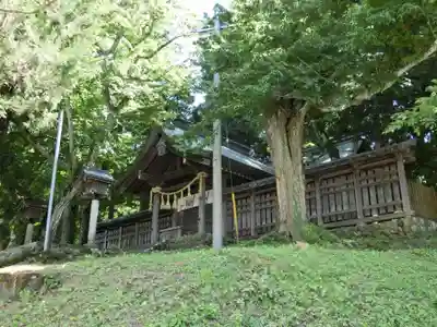 諏訪大社上社前宮の本殿・本堂