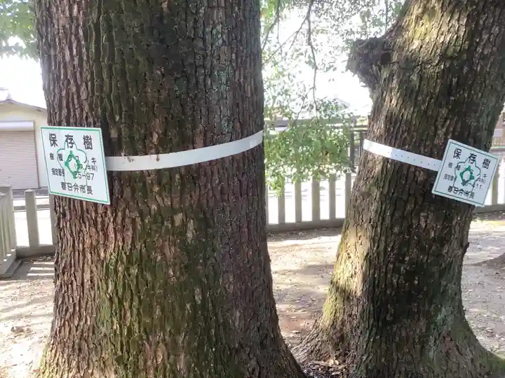 神明社(神明大明神)の自然