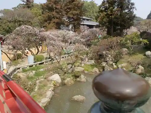 太宰府天満宮の庭園