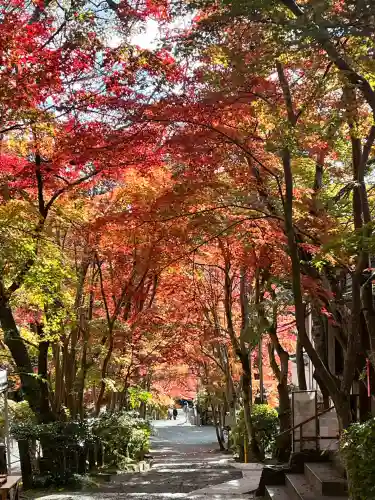 神峯山寺(大阪府)