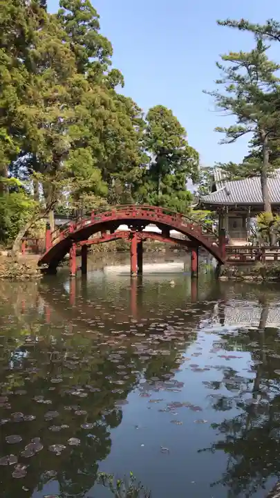金剛證寺の庭園