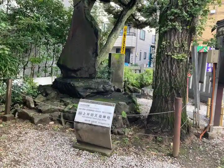 蛇窪神社(東京都)