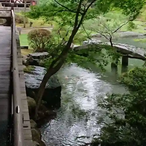 青蓮院門跡の庭園