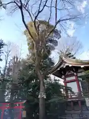 川越八幡宮(埼玉県)