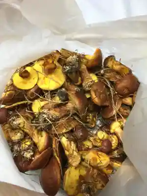 旭岱大山神社(北海道)