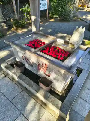 比々多神社の{uncategorized: "未分類", other: "その他", undefined: "問題あり", building: "その他建物", grave: "お墓", sacred_gate: "鳥居", guardian: "狛犬", statue: "像", buddha: "仏像", history: "歴史", nature: "自然", garden: "庭園", animal: "動物", pagoda: "塔", temizu: "手水舎", mountain_gate: "山門・神門", sanctuary: "本殿・本堂", subordinate: "末社・摂社", art: "芸術", scenery: "景色", jizo: "地蔵", ema: "絵馬", goshuin: "御朱印", omikuji: "おみくじ", items: "授与品その他", amulet: "お守り", goshuincho: "御朱印帳", eats: "食事", festival: "お祭り", votive_dance: "神楽", shichigosan: "七五三参", wedding: "結婚式", experience: "体験その他", initially: "初詣", around: "周辺", anti_infection: "感染症対策"}