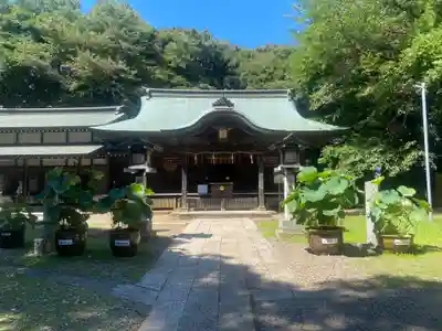 畑子安神社(千葉県)