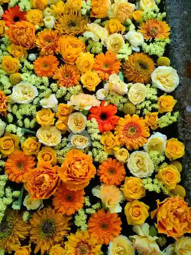 津島神社の手水舎