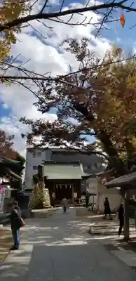 松戸神社(千葉県)