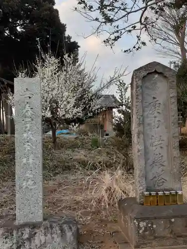 菅原神社(千葉県)