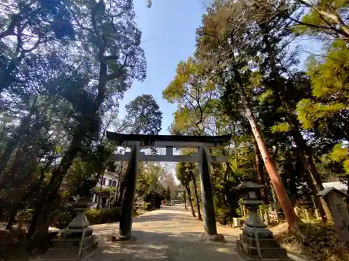 大和神社の鳥居