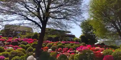 根津神社(東京都)