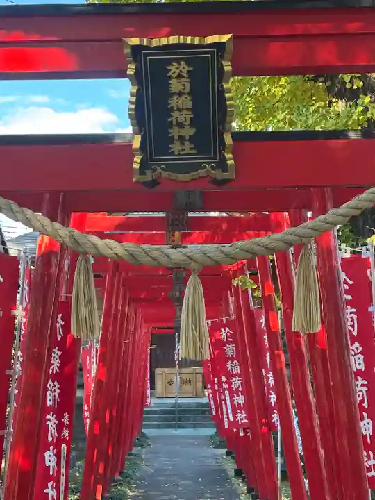 於菊稲荷神社(群馬県)