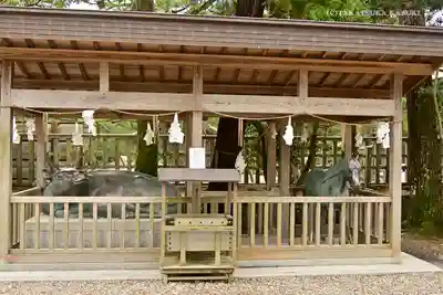 出雲大社のその他建物