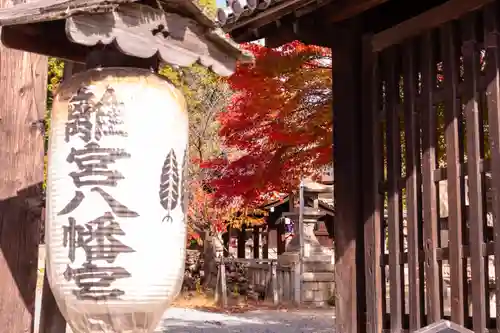 離宮八幡宮(京都府)