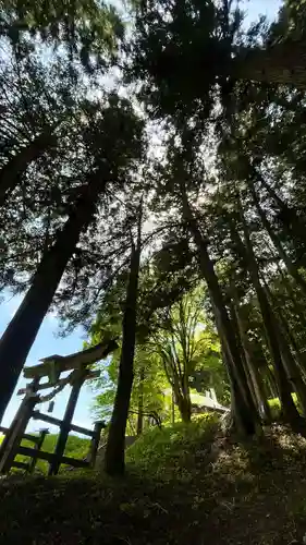 子檀嶺神社(長野県)