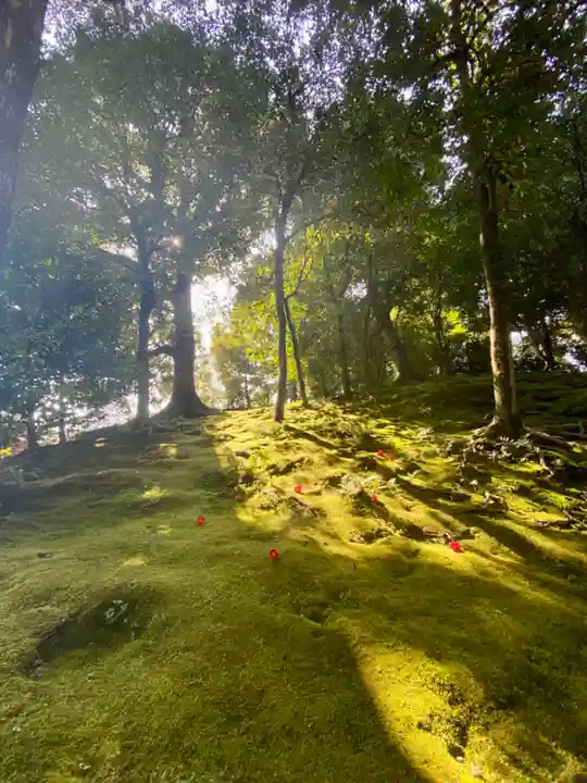 城南宮(京都府)