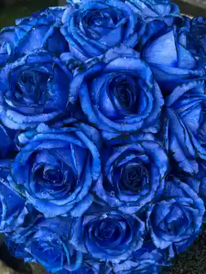 上尾御嶽神社の手水舎