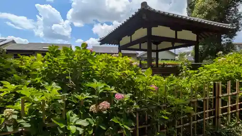 藤森神社(京都府)