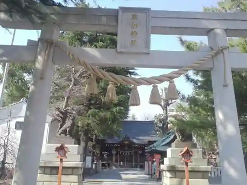 草加神社の鳥居