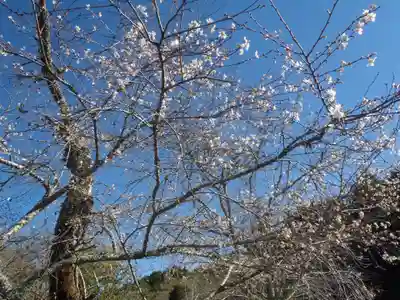 小原稲荷 松月寺(愛知県)