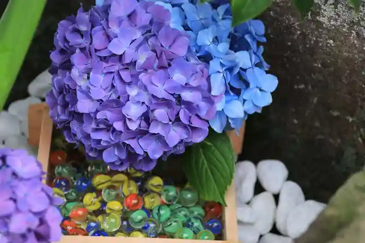 開成山大神宮の手水舎