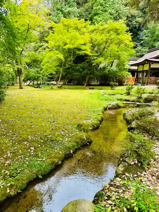 賀茂別雷神社(上賀茂神社)(京都府)