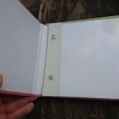 阿佐ヶ谷神明宮(東京都)