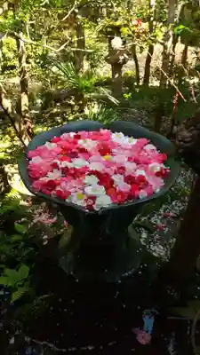 法然院の手水舎