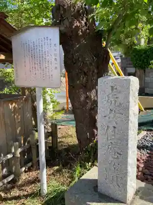 東光寺（観音堂）の自然