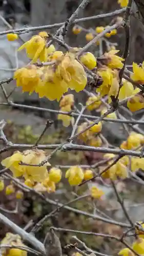 正源寺(滋賀県)