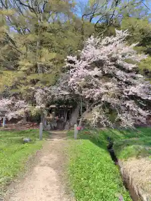 鏡山湯泉神社(栃木県)