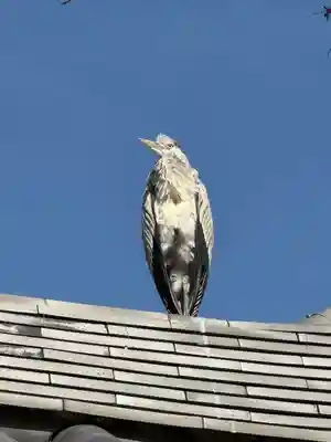 浄光明寺(神奈川県)