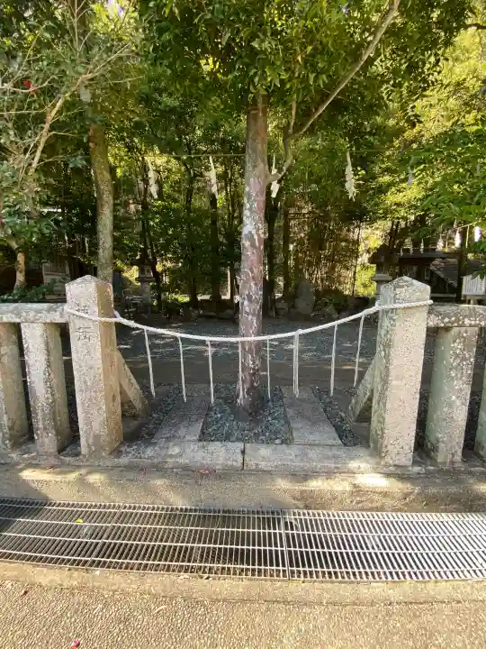 鎮西大社諏訪神社の{uncategorized: "未分類", other: "その他", undefined: "問題あり", building: "その他建物", grave: "お墓", sacred_gate: "鳥居", guardian: "狛犬", statue: "像", buddha: "仏像", history: "歴史", nature: "自然", garden: "庭園", animal: "動物", pagoda: "塔", temizu: "手水舎", mountain_gate: "山門・神門", sanctuary: "本殿・本堂", subordinate: "末社・摂社", art: "芸術", scenery: "景色", jizo: "地蔵", ema: "絵馬", goshuin: "御朱印", omikuji: "おみくじ", items: "授与品その他", amulet: "お守り", goshuincho: "御朱印帳", eats: "食事", festival: "お祭り", votive_dance: "神楽", shichigosan: "七五三参", wedding: "結婚式", experience: "体験その他", initially: "初詣", around: "周辺", anti_infection: "感染症対策"}