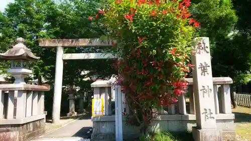 秋葉神社の鳥居