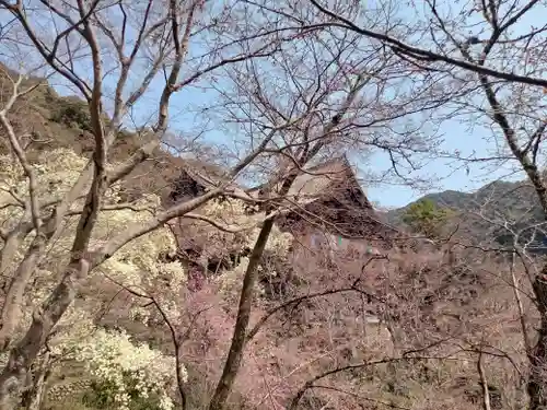 長谷寺(奈良県)