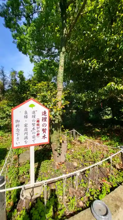 大汝牟遅神社の{uncategorized: "未分類", other: "その他", undefined: "問題あり", building: "その他建物", grave: "お墓", sacred_gate: "鳥居", guardian: "狛犬", statue: "像", buddha: "仏像", history: "歴史", nature: "自然", garden: "庭園", animal: "動物", pagoda: "塔", temizu: "手水舎", mountain_gate: "山門・神門", sanctuary: "本殿・本堂", subordinate: "末社・摂社", art: "芸術", scenery: "景色", jizo: "地蔵", ema: "絵馬", goshuin: "御朱印", omikuji: "おみくじ", items: "授与品その他", amulet: "お守り", goshuincho: "御朱印帳", eats: "食事", festival: "お祭り", votive_dance: "神楽", shichigosan: "七五三参", wedding: "結婚式", experience: "体験その他", initially: "初詣", around: "周辺", anti_infection: "感染症対策"}