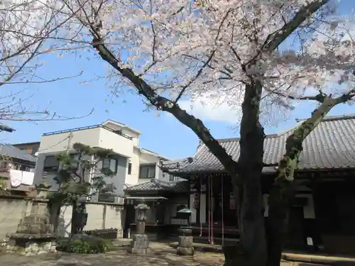 観明寺(東京都)