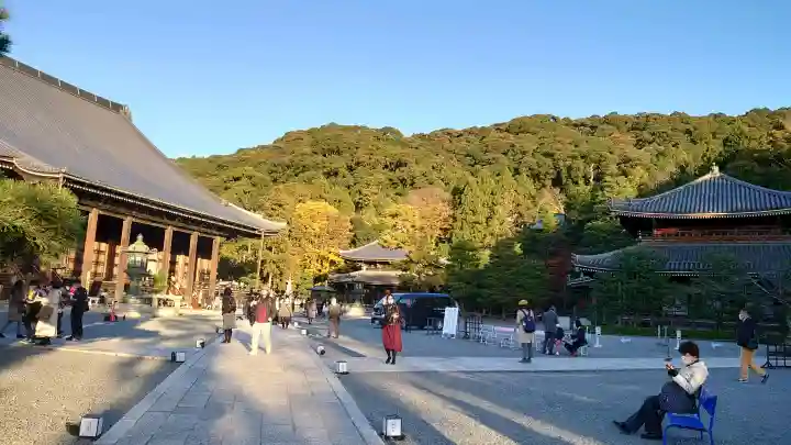知恩院の{uncategorized: "未分類", other: "その他", undefined: "問題あり", building: "その他建物", grave: "お墓", sacred_gate: "鳥居", guardian: "狛犬", statue: "像", buddha: "仏像", history: "歴史", nature: "自然", garden: "庭園", animal: "動物", pagoda: "塔", temizu: "手水舎", mountain_gate: "山門・神門", sanctuary: "本殿・本堂", subordinate: "末社・摂社", art: "芸術", scenery: "景色", jizo: "地蔵", ema: "絵馬", goshuin: "御朱印", omikuji: "おみくじ", items: "授与品その他", amulet: "お守り", goshuincho: "御朱印帳", eats: "食事", festival: "お祭り", votive_dance: "神楽", shichigosan: "七五三参", wedding: "結婚式", experience: "体験その他", initially: "初詣", around: "周辺", anti_infection: "感染症対策"}