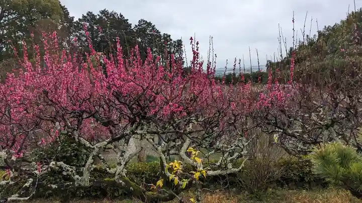 正法寺(京都府)