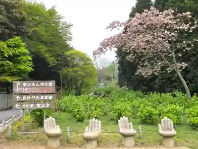 雲辺寺(徳島県)