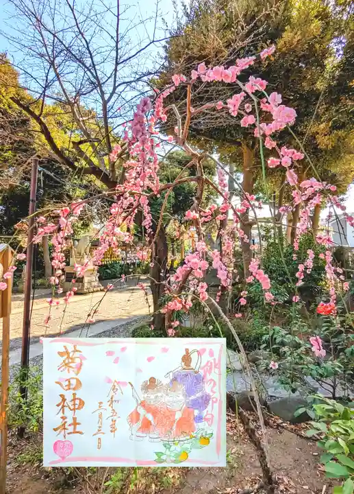 菊田神社の御朱印