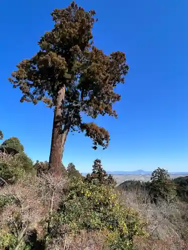 太平山神社(栃木県)